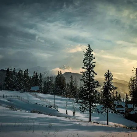 Toporowa Cyrhla Appartamento Zakopane